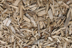 biomass boilers Potto